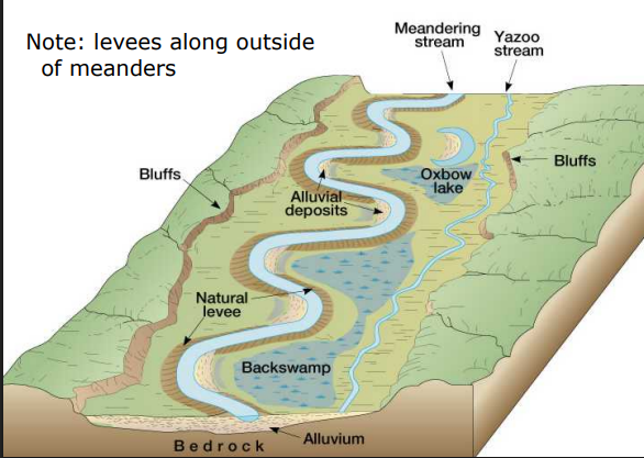 meanders