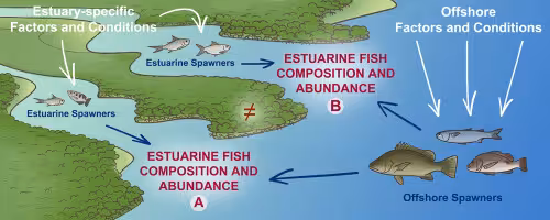 CSIR–National Institute of Oceanography (Goa)