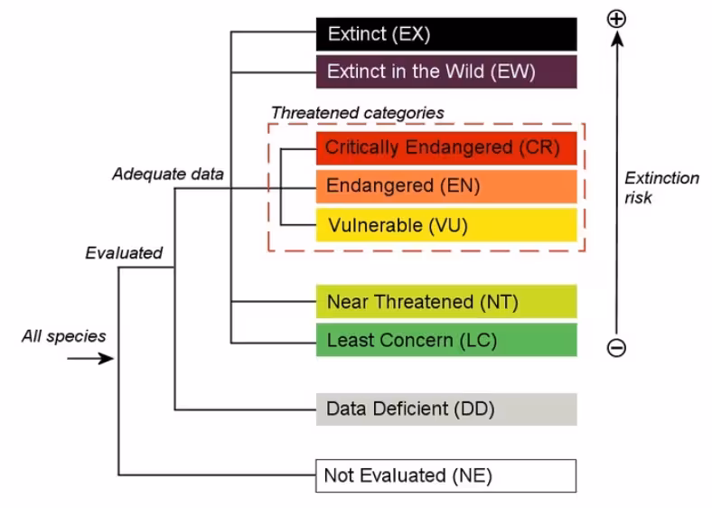 ARCTIC SEALS, BIRDS IN NEW ‘RED LIST’ OF ENDANGERED SPECIES: IUCN