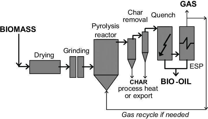 BIOCHAR: A CLIMATE SOLUTION WITH UNTAPPED POTENTIAL