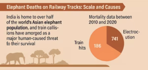 ELEPHANT TRAIN COLLISIONS IN INDIA