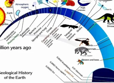 Geological History of the Earth A Detailed UPSC Guide