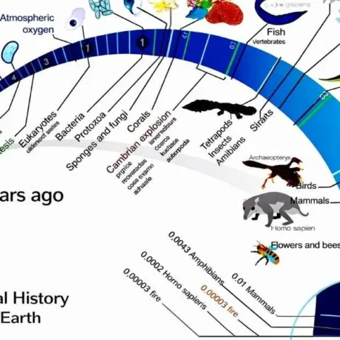 Geological History of the Earth A Detailed UPSC Guide