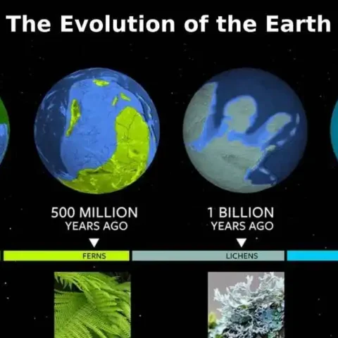 The Evolution of the Earth