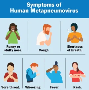 Human Metapneumovirus (HMPV)