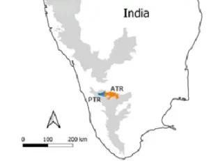 Anamalai Tiger Reserve