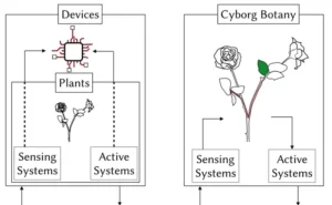 Cyborg Botany