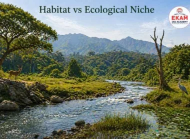 Habitat vs Ecological Niche