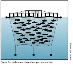 Tapping Fishers in Reservoirs