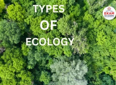 Types of Ecology
