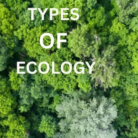Types of Ecology