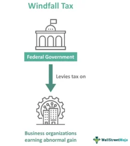 Windfall Tax