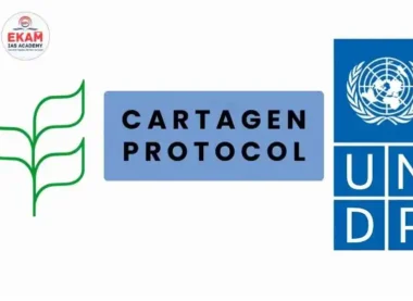 Cartagena Protocol