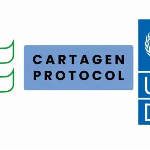 Cartagena Protocol