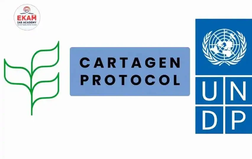 Cartagena Protocol
