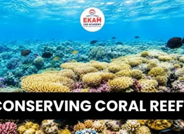 Conserving Coral Reefs