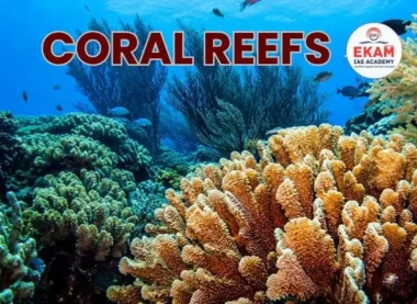 Coral Reefs
