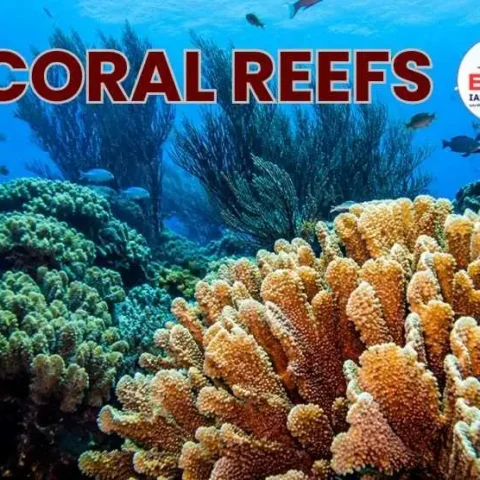 Coral Reefs