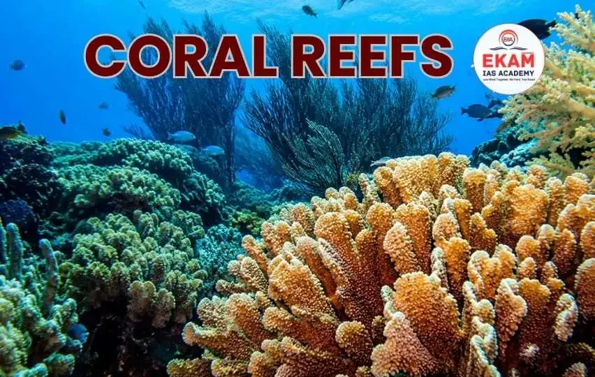 Coral Reefs