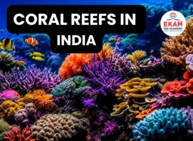Coral Reefs in India