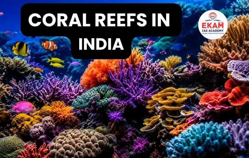 Coral Reefs in India