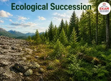 Ecological Succession