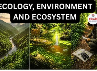 Ecology, Environment and Ecosystem