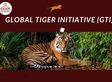 Global Tiger Initiative (GTI)
