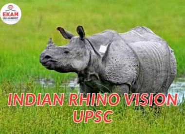 Indian Rhino Vision