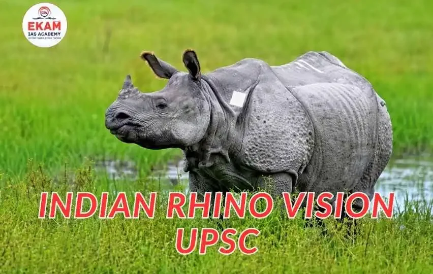 Indian Rhino Vision