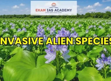 Invasive Alien Species