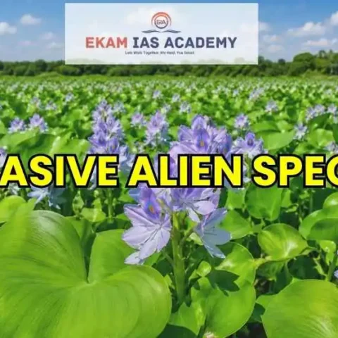 Invasive Alien Species
