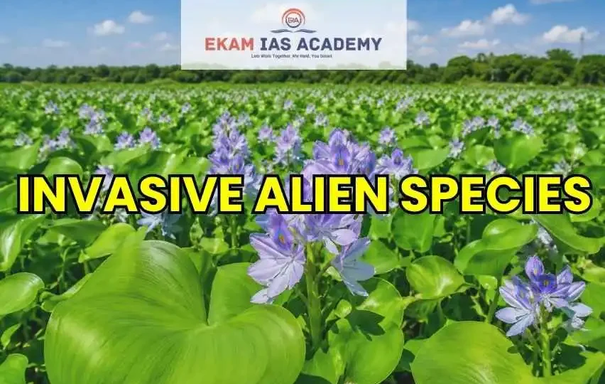 Invasive Alien Species