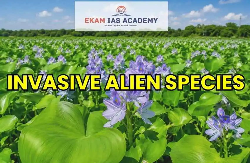 Invasive Alien Species in India: Causes and Impacts