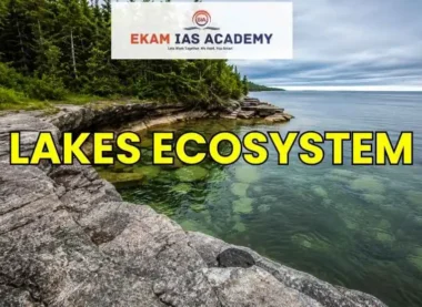 Lakes Ecosystem