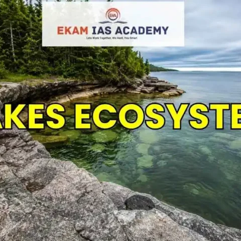Lakes Ecosystem