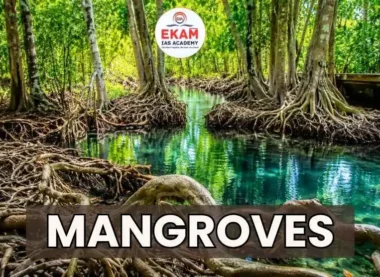 Mangroves
