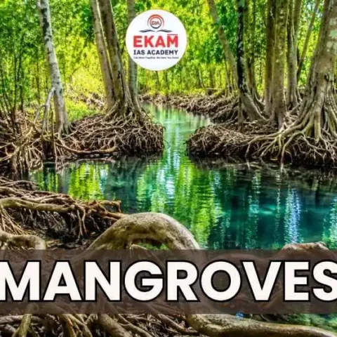Mangroves