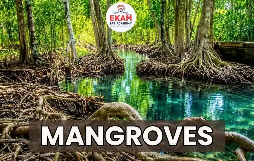 Mangroves