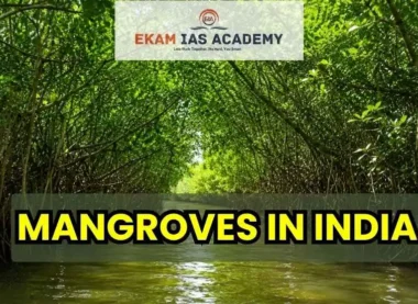 Mangroves in India