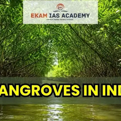 Mangroves in India