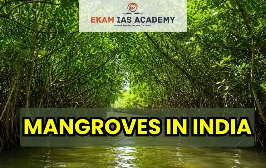 Mangroves in India