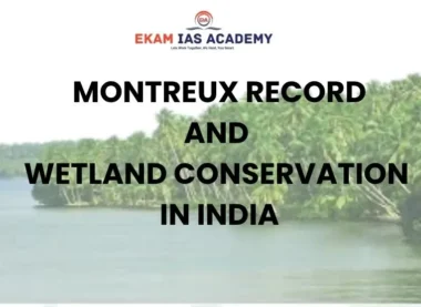 Montreux Record