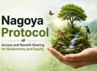 Nagoya Protocol