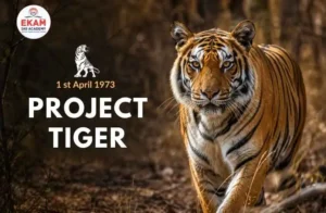 Project Tiger
