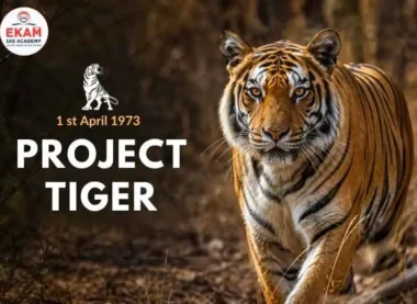 Project Tiger