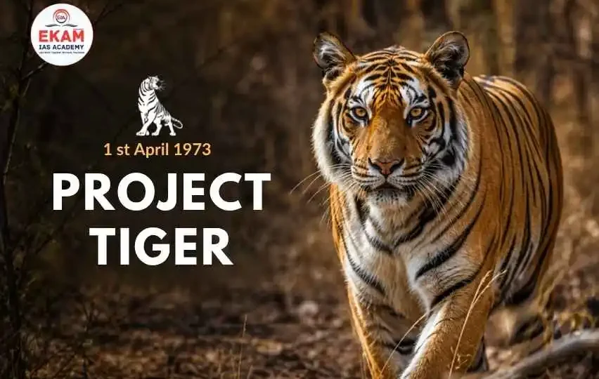Project Tiger