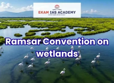 Ramsar Convention on Wetlands