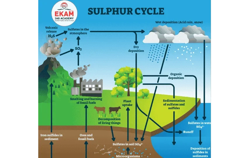 Sulphur Cycle