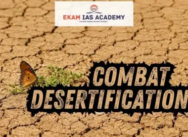 Combat Desertification